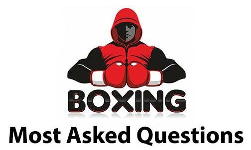Boxing Gloves Top 10 Most Asked Questions | MSM FIGHT SHOP