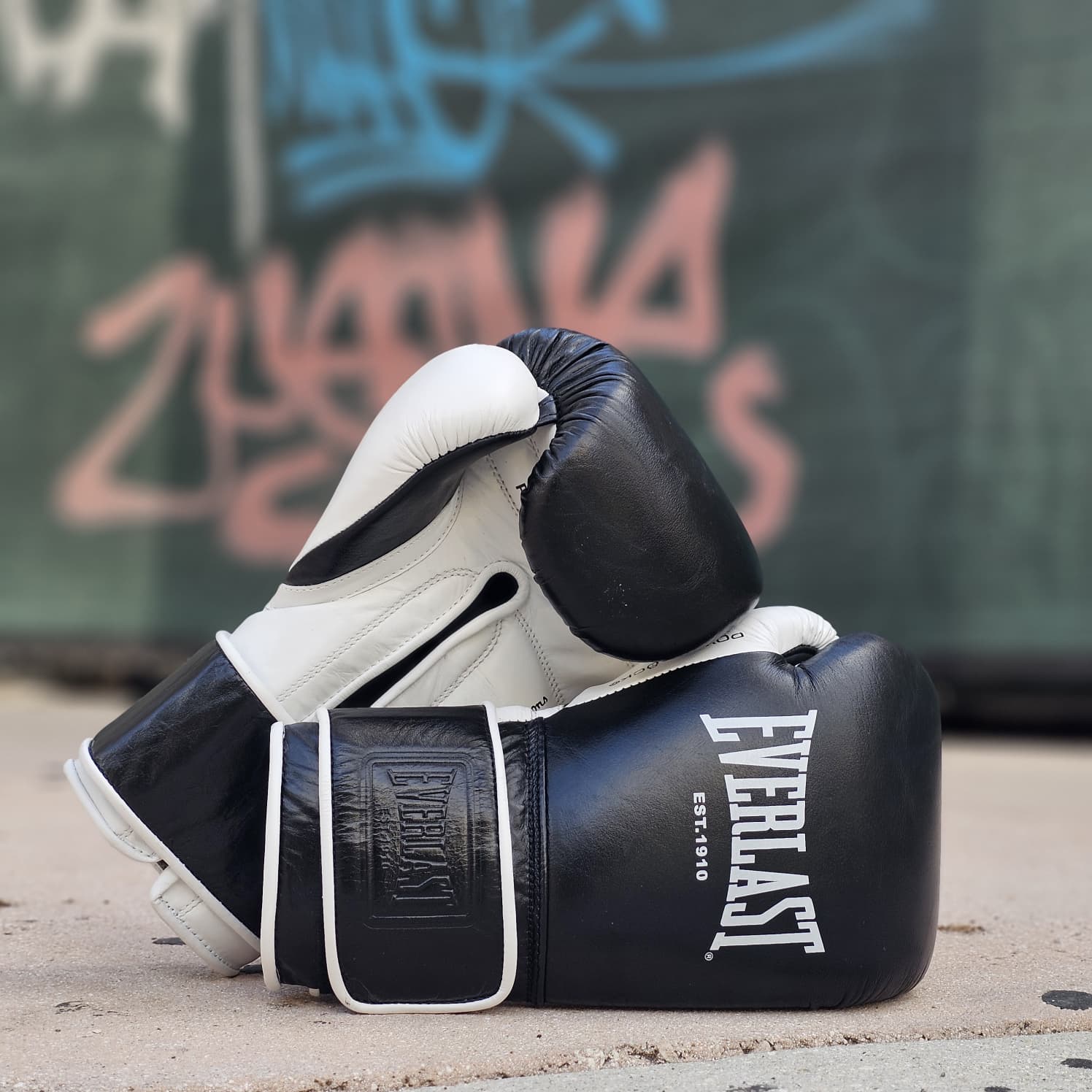 EVERLAST GLOVES HOOK & LOOP POWERLOCK OG PRO TRAINING LEATHER