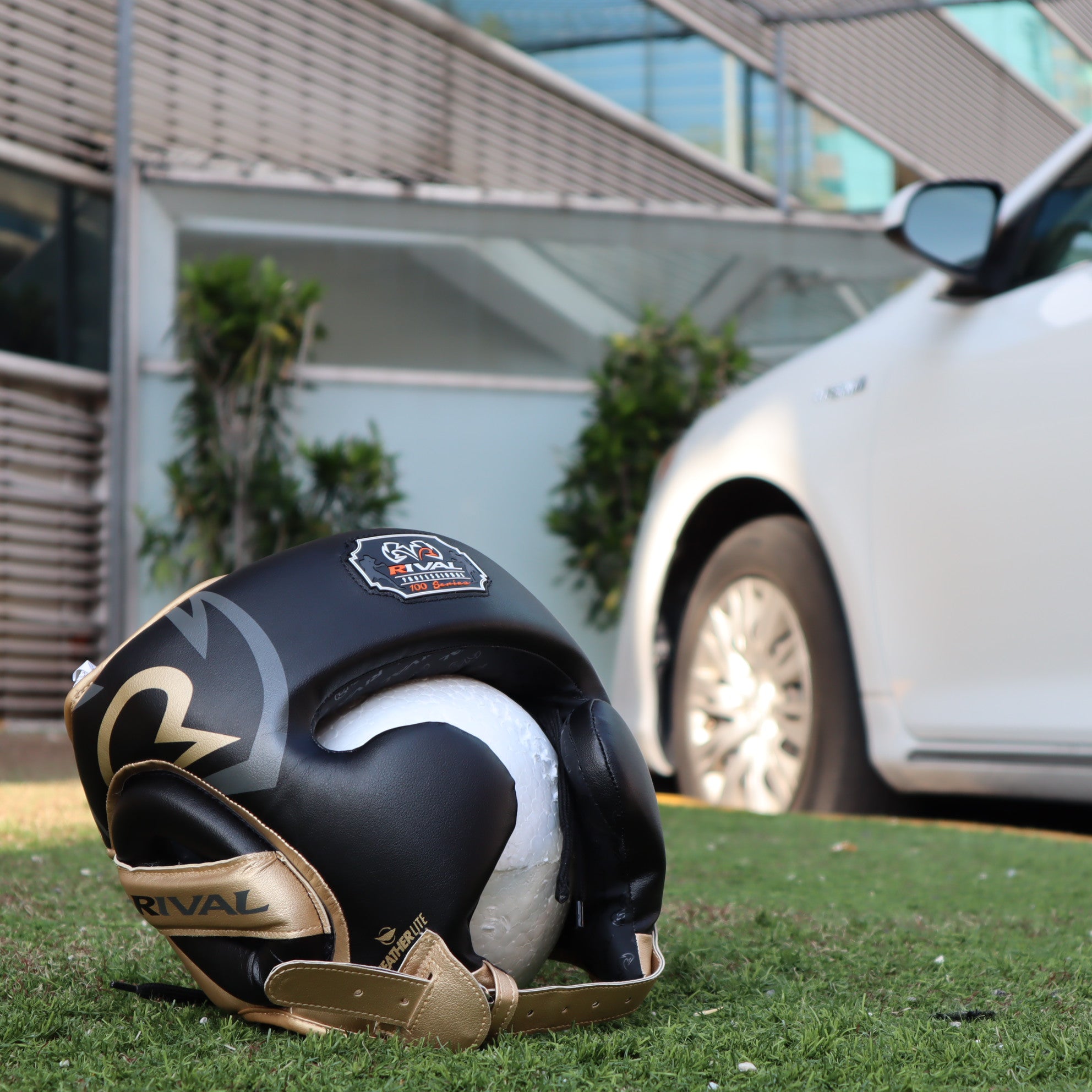 RIVAL HEADGEAR RHG100 LIMITED EDITION BLACK/GOLD – MSM FIGHT SHOP