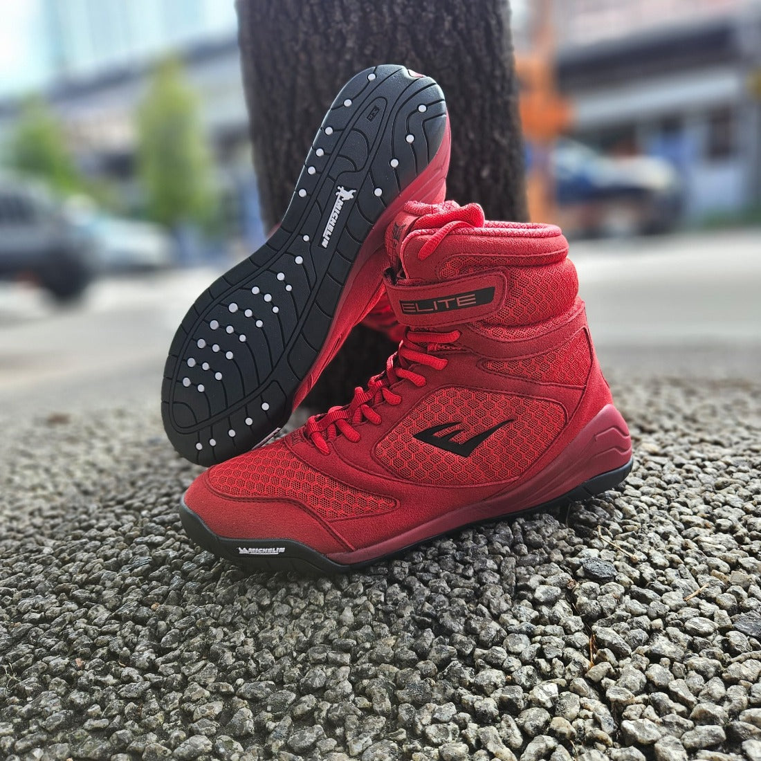 Everlast Boxing Shoes Tenis Everlast Elite Pro Everlast Best