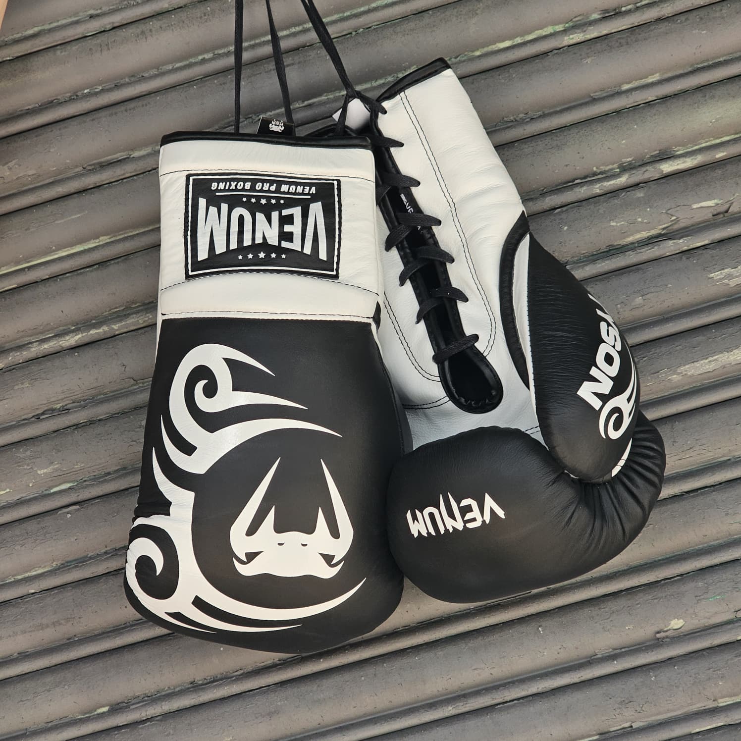 VENUM X MIKE TYSON GLOVES PRO GIANT 2.0 LACE BLACK/WHITE – MSM