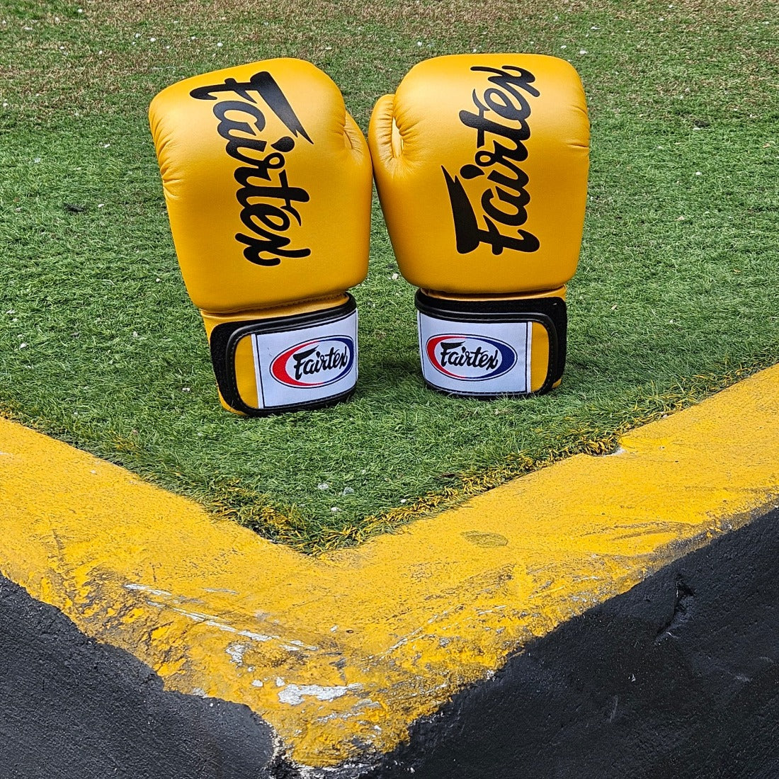 FAIRTEX GLOVES BGV19 THAI STYLE MICROFIBER GOLD BLACK MSM FIGHT SHOP