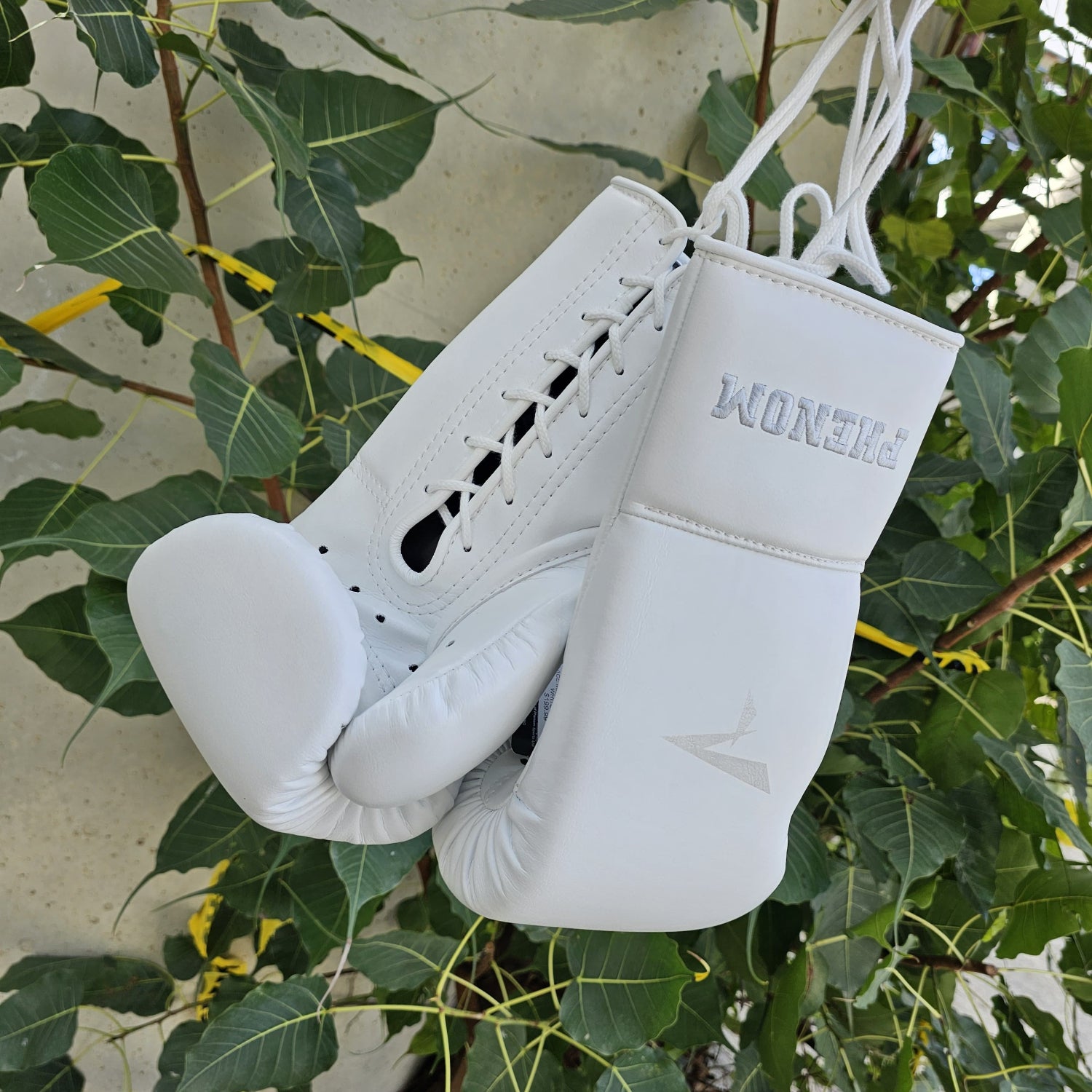PHENOM BOXING GLOVES MICRO FIBER LACE MSG205 WHITE – MSM FIGHT SHOP