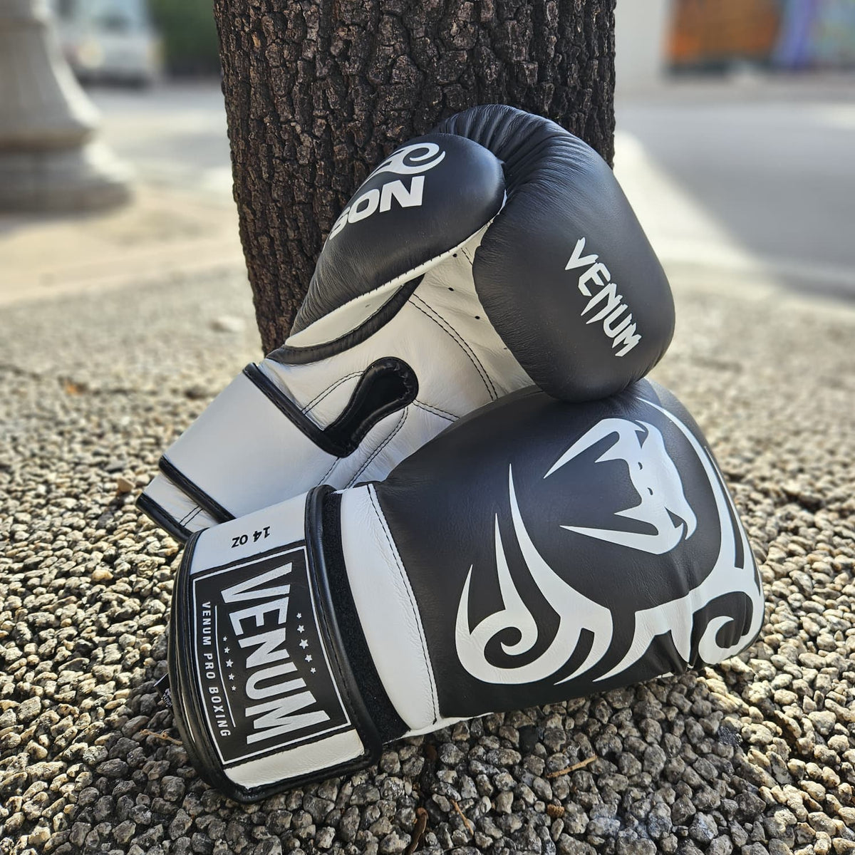 VENUM X MIKE TYSON GLOVES PRO GIANT 2.0 HOOK LOOP BLACK