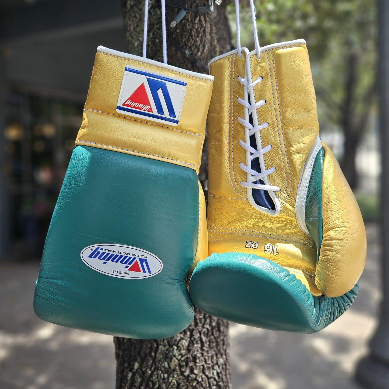WINNING GLOVES CUSTOM LACE MINT GREEN / GOLD – MSM FIGHT SHOP
