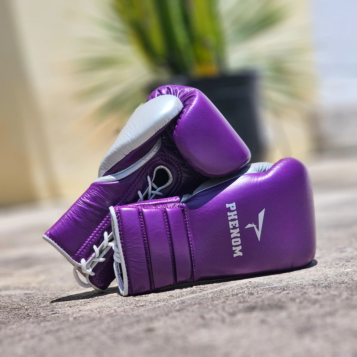 Purple boxing gloves with white laces and a white logo, resting on a concrete surface with a blurred background.