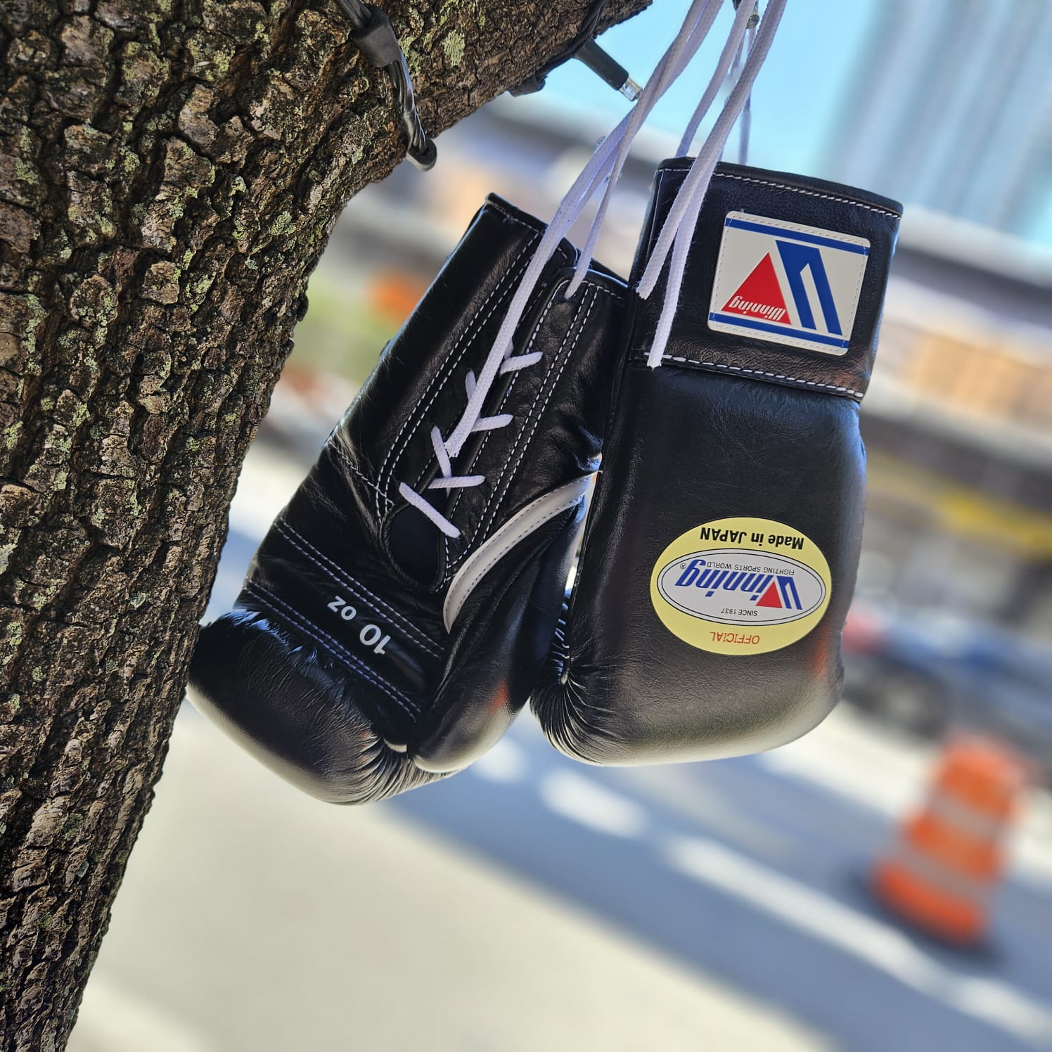 WINNING GLOVES PRO FIGHT LACE UP BLACK – MSM FIGHT SHOP