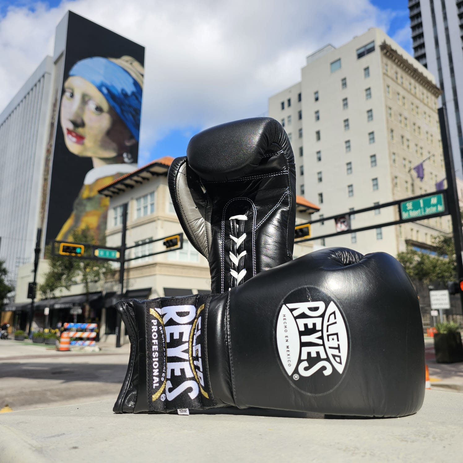 CLETO REYES プロフェッショナルボクシンググローブ ブラック14oz CLETO REYES プロフェッショナルボクシンググローブ ブラック14oz