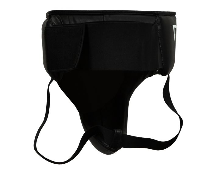 TITLE CUP BOXING DELUXE GROIN PROTECTOR 2.0 BLACK