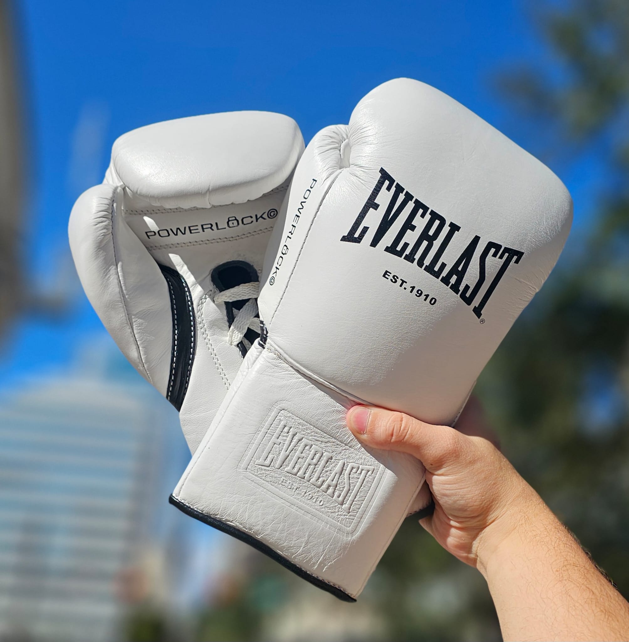 EVERLAST GLOVES LACE POWERLOCK OG PRO FIGHT LEATHER WHITE – MSM