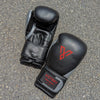 Victory boxing gloves starting at $39.99