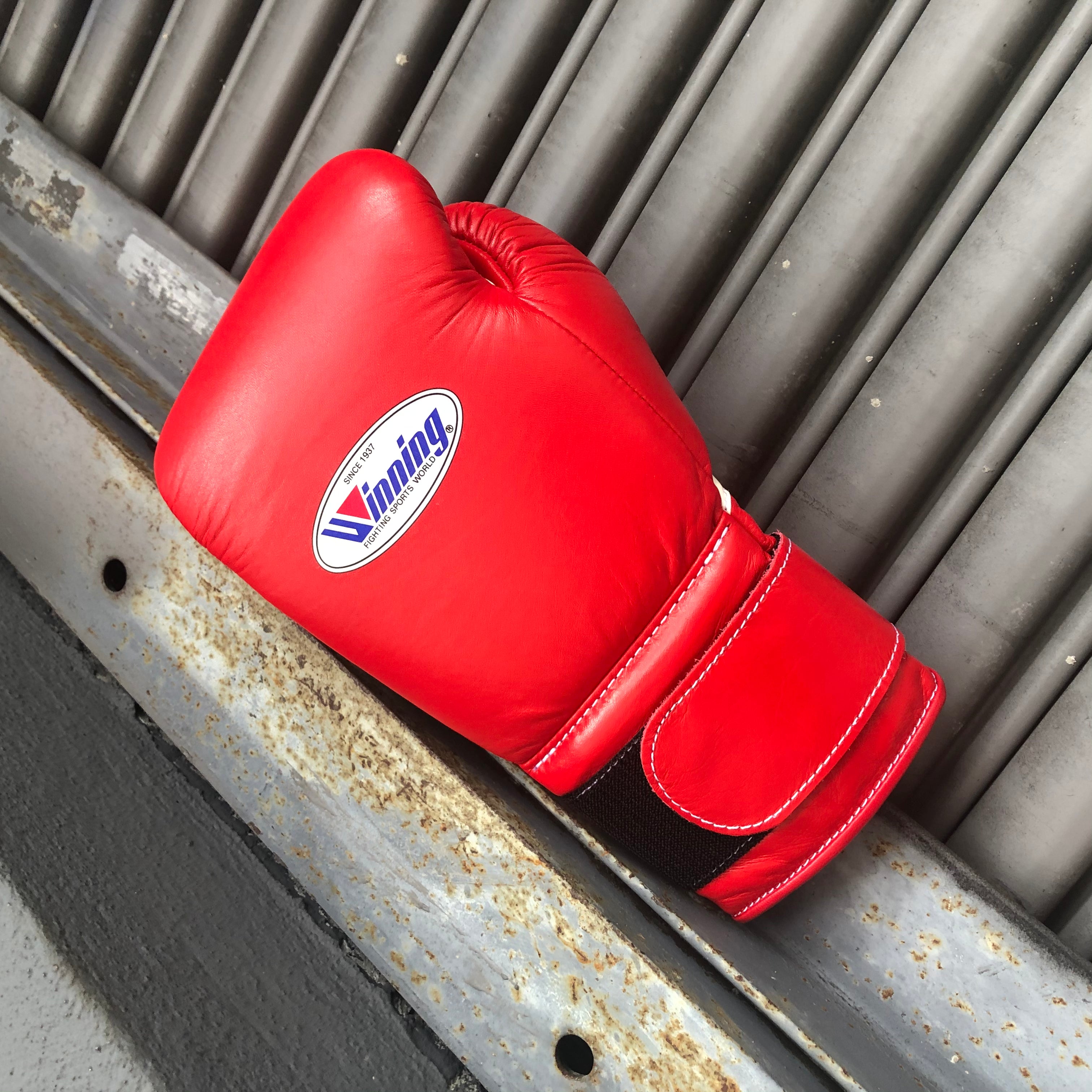 ボクシング EL GANADOR VELCRO TYPE BOXING GLOVE EL GANADOR VELCRO TYPE BOXING GLOVE PNK(VICTOR ) | アイテム