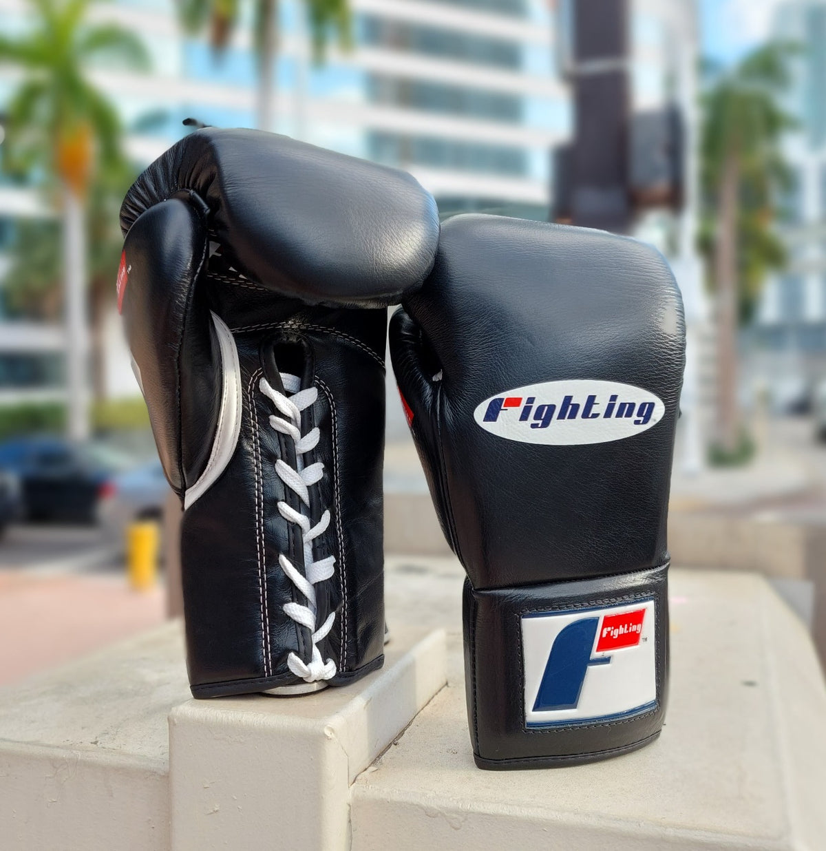 Fighting  Pro Fight Gloves Black