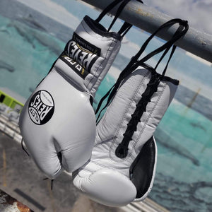 Boxing & MMA Gloves | Boxing Gloves | Fitness Gloves | MSM Fight Shop ...