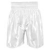 TITLE BOXING SHORTS EDGE 2.0 WHITE